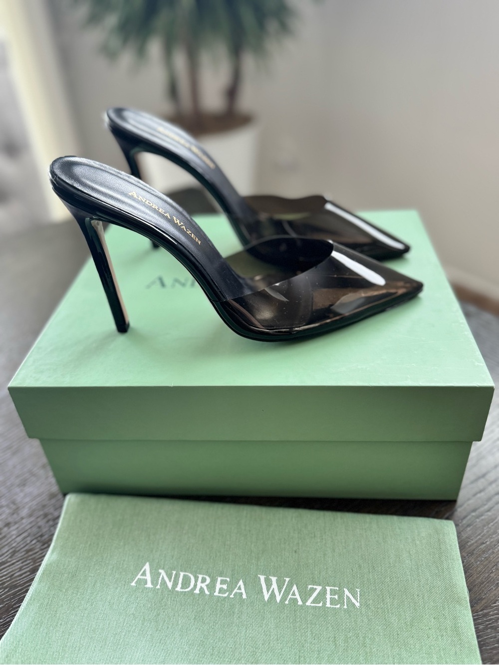 Andrea Wazen Kylie 105 Point-toe Mules in PVC & Patent Leather